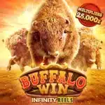 BUFFALO WIN