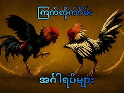 ကြက်တိုက်ဂိမ်း အင်္ဂါရပ်များ