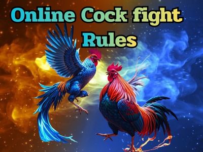 ကြက်တိုက်ဂိမ်း Rules