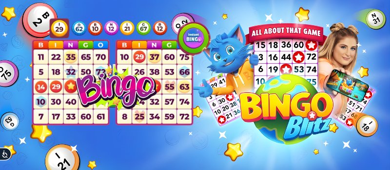 ဘင်ဂိုဂိမ်း Feature